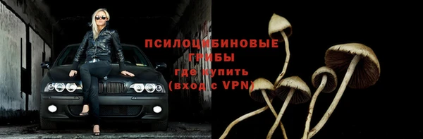 гидра Абдулино